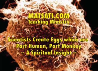Scientists Create Eggs which are Part Human, Part Monkey – A Spiritual Insight