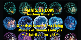 Scientists Create First Living Models of Human Embryos – A Spiritual Insight