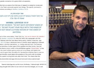 Watch Dr. Duane D. Miller PhD Discuss how Scientists Create Eggs which are Part Human, Part Monkey – A Spiritual Insight