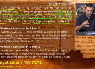 Dr. Duane D. Miller PhD – LIVE – The Word of God has a Depth beyond our Imagination! פרשת אמר, Parashat Emor, Bits of Torah Truths – Digging Deeper