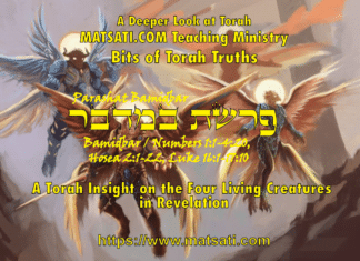 A Torah Insight on the Four Living Creatures in Revelation, פרשת במדבר, Parashat Bamidbar, Bits of Torah Truths – Digging Deeper