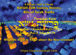 What We Need to Know about the New Covenant, פרשת נשא, Parashat Naso, Bits of Torah Truths – Digging Deeper