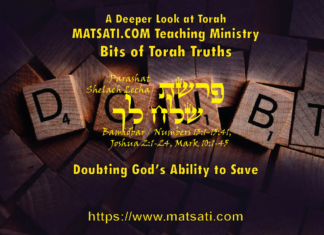 Doubting God’s Ability to Save, פרשת שלח לך, Parashat Shelach Lecha, Bits of Torah Truths – Digging Deeper