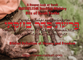 Biblical Definition of Slavery and Freedom, פרשת בהר-ובחקתי, Parashot Behar-Bechukotai, Bits of Torah Truths – Digging Deeper