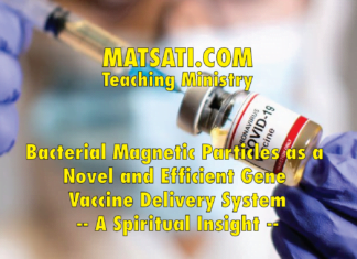 Bacterial Magnetic Particles as a Novel and Efficient Gene Vaccine Delivery System – A Spiritual Insight