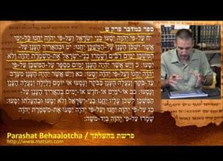 Watch Dr. Duane D. Miller PhD – LIVE – Discuss Expecting God to Work a Miracle in Our Lives, פרשת בהעלתך, Parashat Behaalotcha, Bits of Torah Truths – Digging Deeper