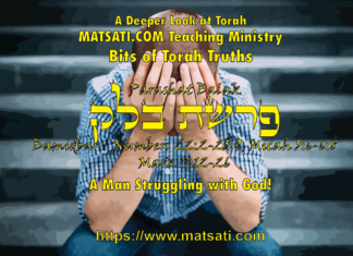A Man Struggling with God, פרשת בלק, Parashat Balak, Bits of Torah Truths – Digging Deeper