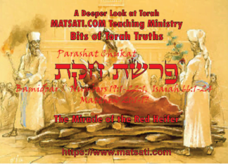 The Miracle of the Red Heifer, פרשת חקת, Parashat Chukat, Bits of Torah Truths – Digging Deeper