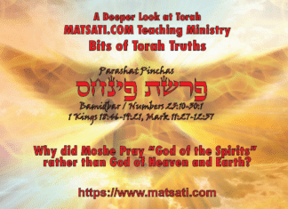 Why did Moshe Pray “God of the Spirits” rather than God of Heaven and Earth? פרשת פינחס, Parashat Pinchas, Bits of Torah Truths – Digging Deeper