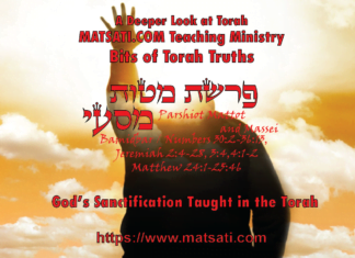 God’s Sanctification Taught in the Torah, פרשיות מטות- מסעי, Parshiyot Mattot/Massei, Bits of Torah Truths – Digging Deeper