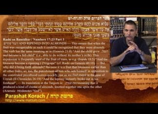 Watch Dr. Duane D. Miller PhD – LIVE – Discuss how People Today Reject the Authority of Moshe for the Authority of Yeshua (Jesus) and the Problems Associated with doing so, פרשת קרח, Parashat Korach, Bits of Torah Truths – Digging Deeper