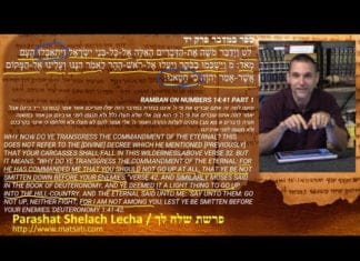 Dr. Duane D Miller PhD – LIVE – Discussing Doubting God’s Ability to Save, פרשת שלח לך, Parashat Shelach Lecha, Bits of Torah Truths – Digging Deeper