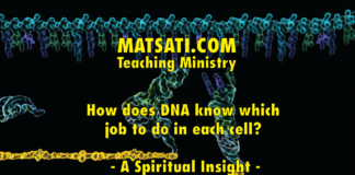 How does DNA know which job to do in each cell? – A Spiritual Insight