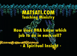 How does DNA know which job to do in each cell? – A Spiritual Insight