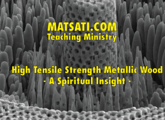 High Tensile Strength Metallic Wood – A Spiritual Insight