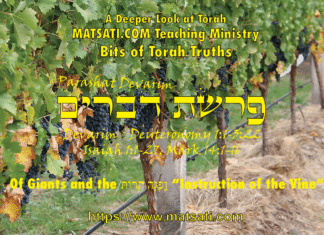 Of Giants and the תּוֹרַת הַּגֶּפֶּן “Instruction of the Vine” פרשת דברים, Parashat Devarim, Bits of Torah Truths – Digging Deeper