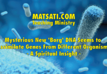 Mysterious New ‘Borg’ DNA Seems to Assimilate Genes From Different Organisms – A Spiritual Insight
