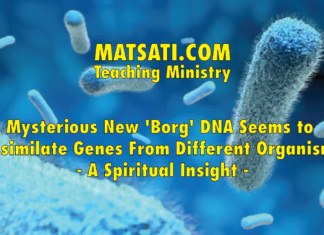 Mysterious New ‘Borg’ DNA Seems to Assimilate Genes From Different Organisms – A Spiritual Insight