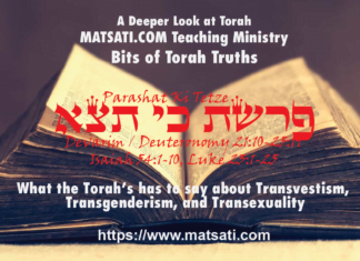 What the Torah’s has to say about Transvestism, Transgenderism, and Transexuality, פרשת כי תצא, Parashat Ki Tetze, Bits of Torah Truths – Digging Deeper