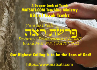 Our Highest Calling is to be the Sons of God! פרשת ראה, Parashat Re’eh, Bits of Torah Truths – Digging Deeper