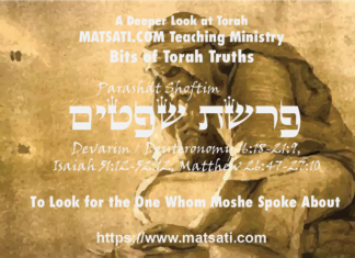 To Look for the One Whom Moshe Spoke About, פרשת שפטים, Parashat Shoftim, Bits of Torah Truths – Digging Deeper