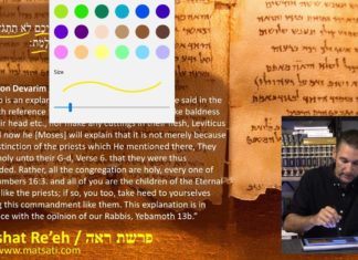 Watch Dr. Duane D. Miller PhD – LIVE – Discuss Our Highest Calling is to be the Sons of God! פרשת ראה, Parashat Re’eh, Bits of Torah Truths – Digging Deeper