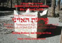 Serving Demons and Being Set Free, פרשת האזינו, Parashat Ha’azinu, Bits of Torah Truths – Digging Deeper