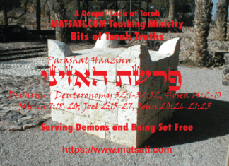 Serving Demons and Being Set Free, פרשת האזינו, Parashat Ha’azinu, Bits of Torah Truths – Digging Deeper