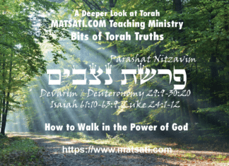 How to Walk in the Power of God, פרשת נִצָּבִים, Parashat Nitzavim, Bits of Torah Truths – Digging Deeper