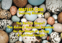 The Perfect Shape? The Ancient Universal Equation for the Shape of an Egg – A Spiritual Insight