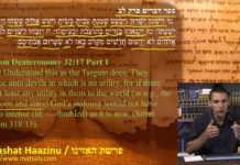 Dr Duane D Miller PhD-LIVE-Serving Demons and Being Set Free, פרשת האזינו, Parashat Ha’azinu, Bits of Torah Truths – Digging Deeper