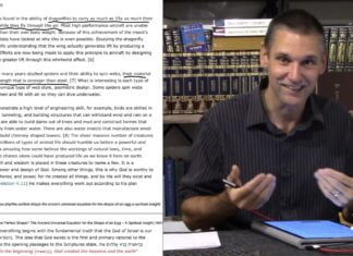 Dr. Duane D Miller PhD explains The Perfect Shape? The Ancient Universal Equation for the Shape of an Egg – A Spiritual Insight