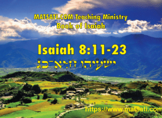 Failing to Sanctify the Lord in Every Way, ישעיהו ח:יא-כג / Isaiah 8:11-23
