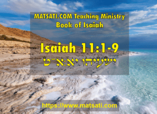 The Messianic King, Divine Appointment, and Life from the Dead, ישעיהו יא:א-ט / Isaiah 11:1-9