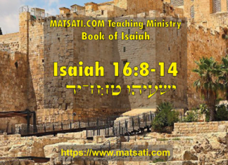 The Lack of Faith that Isaiah was Inspired by God, ישעיהו טז:ח-יד / Isaiah 16:8-14