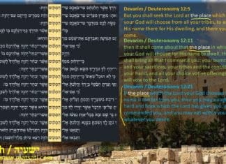 Dr Duane Miller – The Pitfalls of Making the Body our Strength – ישעיהו טז:ח-יד / Isaiah 16:8-14