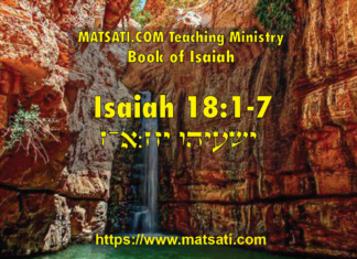 The Land of Whirling Wings ישעיהו יח:א-ז / Isaiah 18:1-7