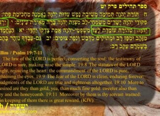 Dr Duane Miller – The Spirit of Deception and Inability to Understand the Truth, ישעיהו יט – Part 4