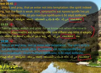 Dr Duane D Miller, A Vision of Pain – ישעיהו כא:א-ט / Isaiah 21,1-9