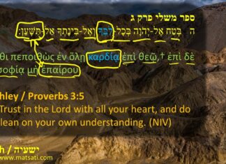 Watch Dr Duane Miller – Introduction and Discussion on Lean Not on Your Own Understanding, ישעיהו כד:יז-כג Isaiah 24:17-23