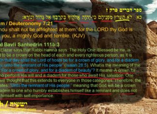 Watch Dr Duane Miller Discuss – The Earth was Made for Righteousness and the Land Shaking Off Impurity ישעיהו כח:א-ז / Isaiah 28:1-7