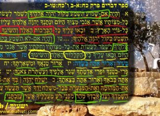 Watch Dr Duane Miller Discuss – Diligently Listening or Diligently Ignoring the Voice of God, ישעיהו כט:א-ו / Isaiah 29:1-6