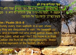 Watch Dr Duane D Miller Discuss A Spirit of Error given from the Lord and the Anti-Missionaries, ישעיהו כט:ז-יב / Isaiah 29:7-12