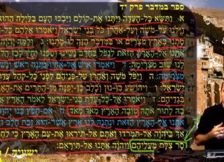 Watch Dr Duane Miller Discuss Resting in the Shadow of Egypt, What Does That Mean? ישעיהו ל:א-ז / Isaiah 30:1-7