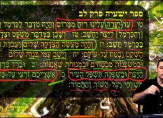 Watch Dr Duane Miller Discuss The Power of God, What Happens when the Spirit is Poured Out, ישעיהו לב:טו-כ / Isaiah 32:15-20