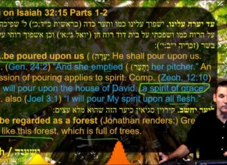 Watch Dr Duane Miller Discuss the Rabbinic Concept: A Person’s Actions Draws out the Ruach of holiness ישעיהו לב:טו-כ / Isaiah 32:15-20