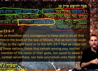 Watch Dr Duane D Miller Discuss How the Battle is For the Mind, ืืฉืขืืื ืื:ื-ื / Isaiah 31:5-9