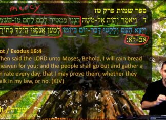 Watch Dr Duane Miller Discuss the Rabbinic and Biblical Connections to the Righteousness of One Man being Credited to Generations that Followed, ישעיהו לב:ח-יד / Isaiah 32:8-14