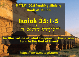 An Illustration of what Happens to Those Who turn to the God of Israel, ישעיהו לה:א-ה / Isaiah 35:1-5