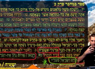 Watch Dr Duane D Miller Discuss: Standing with Jacob or with Esau? ישעיהו לד:ז-יב / Isaiah 34:7-12